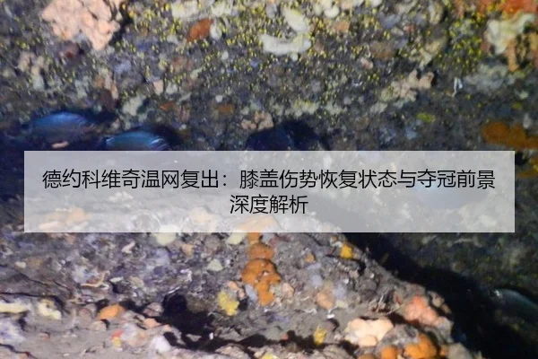 德约科维奇温网复出：膝盖伤势恢复状态与夺冠前景深度解析