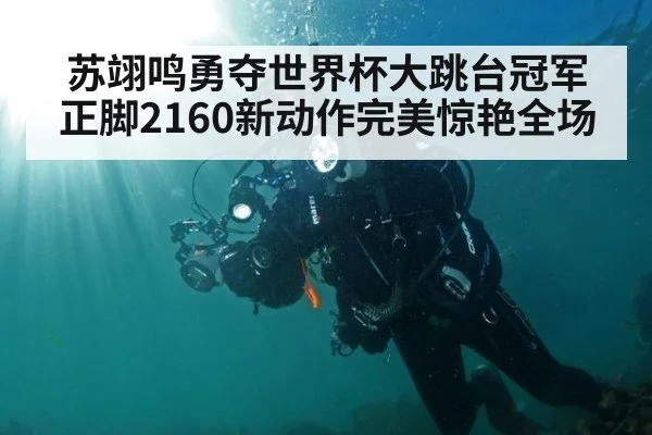 苏翊鸣勇夺世界杯大跳台冠军正脚2160新动作完美惊艳全场