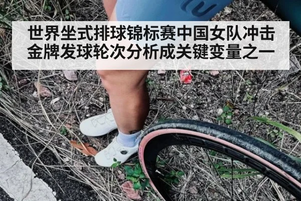 世界坐式排球锦标赛中国女队冲击金牌发球轮次分析成关键变量之一